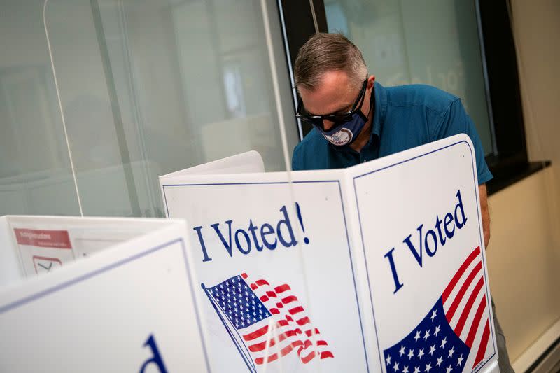 People vote at an early voting site in Arlington, Virginia