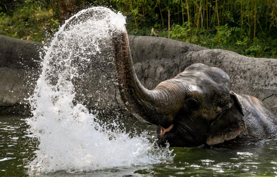 Cooling Off