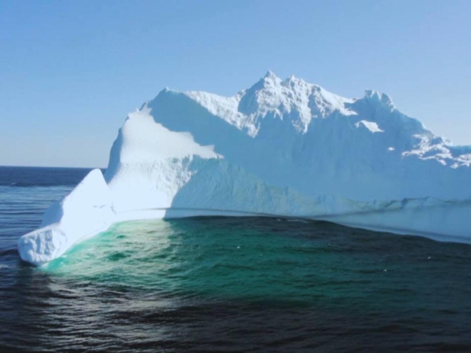 About 20 icebergs are headed toward the coast of Newfoundland, according to the International Ice Patrol. This particular iceberg was spotted in Bonavista in 2020. (Trinity Eco-Tours - image credit)