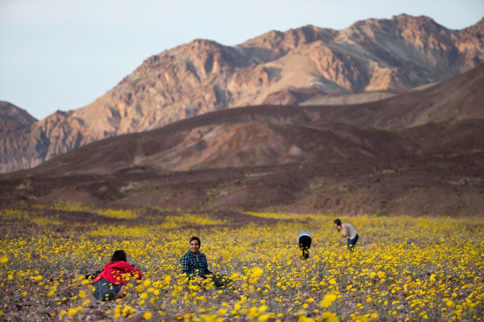 Visitors relish the wildflowers near Death Valley's Badwater Basin during a rare superbloom on Feb. 24, 2016.