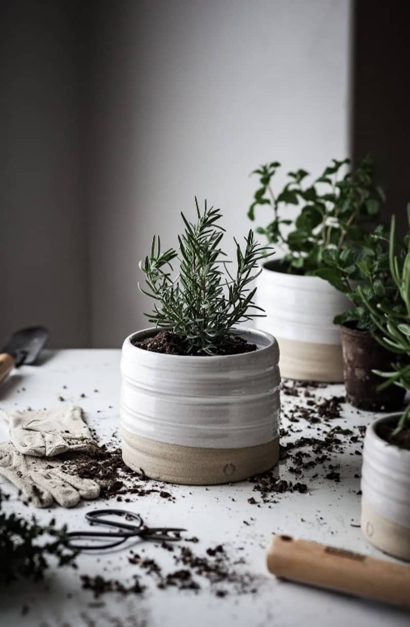 Farmhouse Pottery Small Glazed Stoneware Garden Pot