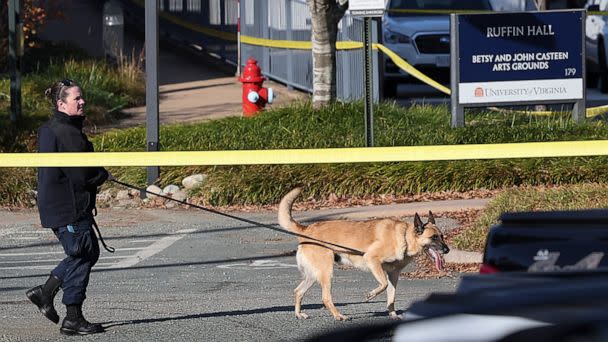PHOTO: A law enforcement K9 team works the crime scene where 3 people were killed and 2 others wounded on the grounds of the University of Virginia, Nov. 14, 2022 in Charlottesville, Virginia. (Win Mcnamee/Getty Images)
