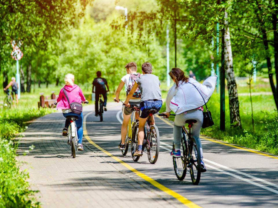 People biking in a tree-lined bike bath