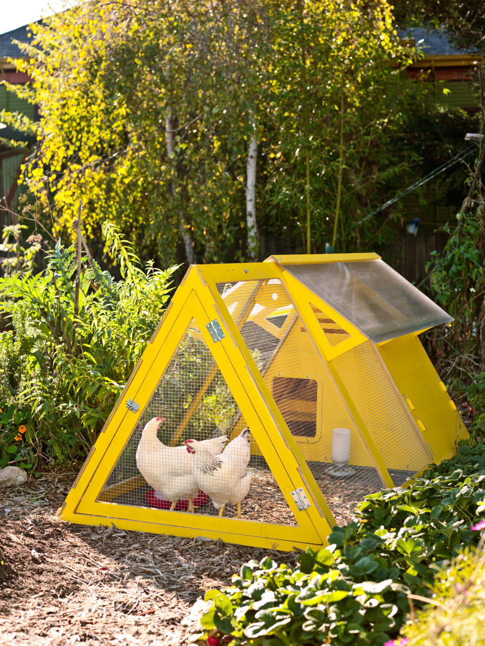 Check out these must-see designs for raising backyard chickens in style