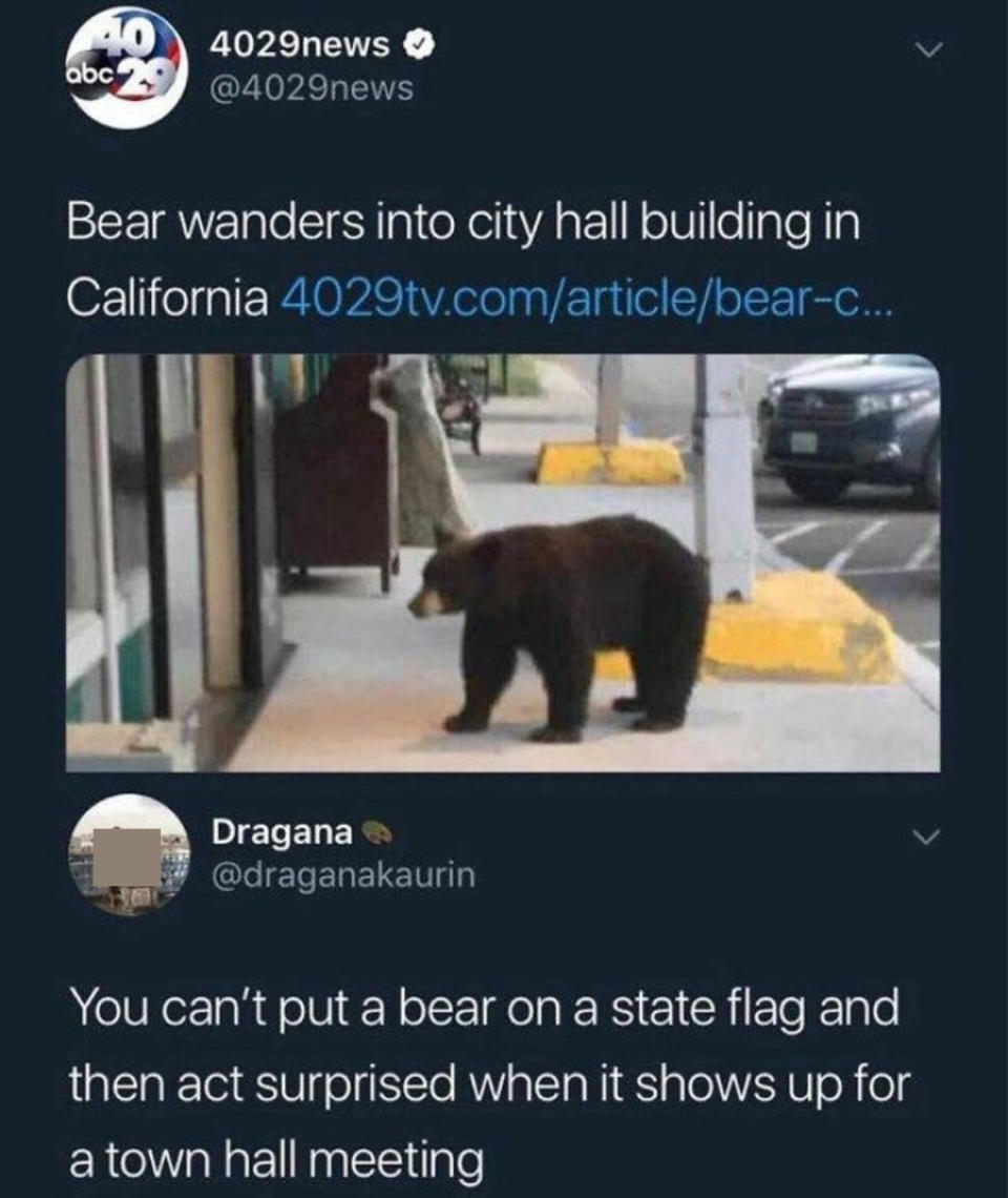 a bear wanders city hall in california and someone says, you can't put a bear on a state flag and then act surprised when it shows up for a town meeting