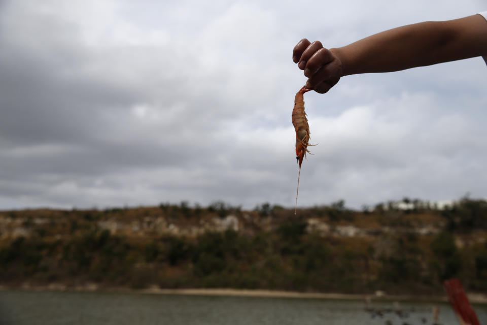 A journalist holds up a dead shrimp at an inactive shrimp farm during a media tour of the now closed Islas Marias penal colony, located off Mexico's Pacific coast, Saturday, March 16, 2019. The prison was started as a way to isolate and punish political prisoners, such as striking workers and socialists, and the inmates helped pay its way by working on the salt flats or at the shrimp farm. (AP Photo/Rebecca Blackwell)