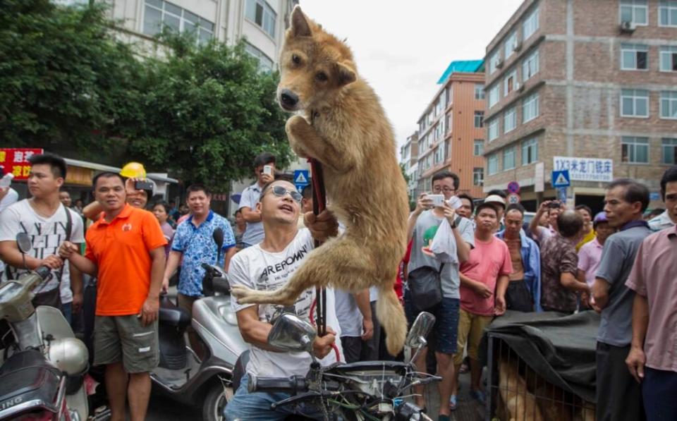 A vendor threatens that he will kill the dogs if the activists do not pay the price at a free market ahead of the Yulin Festival, June 2014. (Credit: Jie Zhao/Corbis via Getty Images)