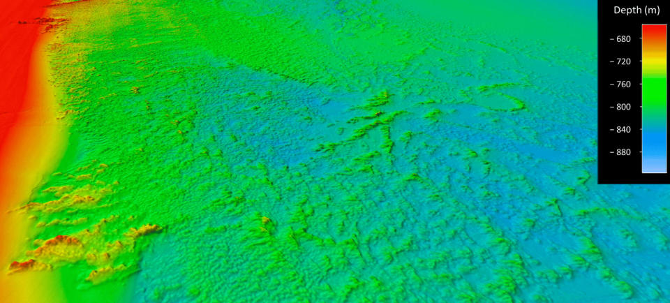 Example of seafloor multibeam bathymetry data showing the coral mound features located on the Blake Plateau. / Credit: NOAA Ocean Exploration/Courtesy of Sowers, et al.