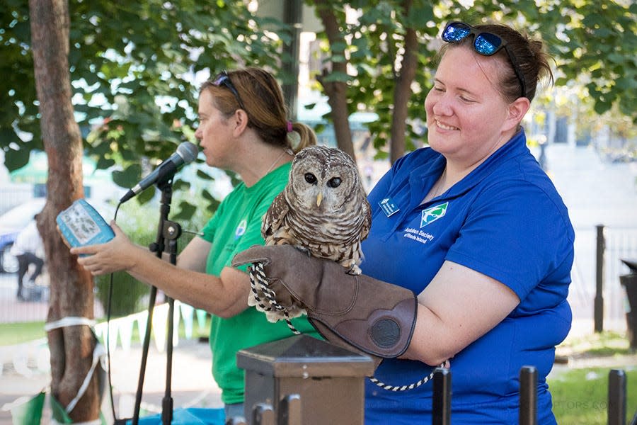 Audubon staff members present a barred owl, with its distinctive round face and striped body, at a previous event.