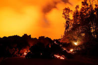 A lava flow from the Kilauea volcano illuminates the night sky, in the Leilani Estates near Pahoa, Hawaii, U.S., May 26, 2018. REUTERS/Marco Garcia