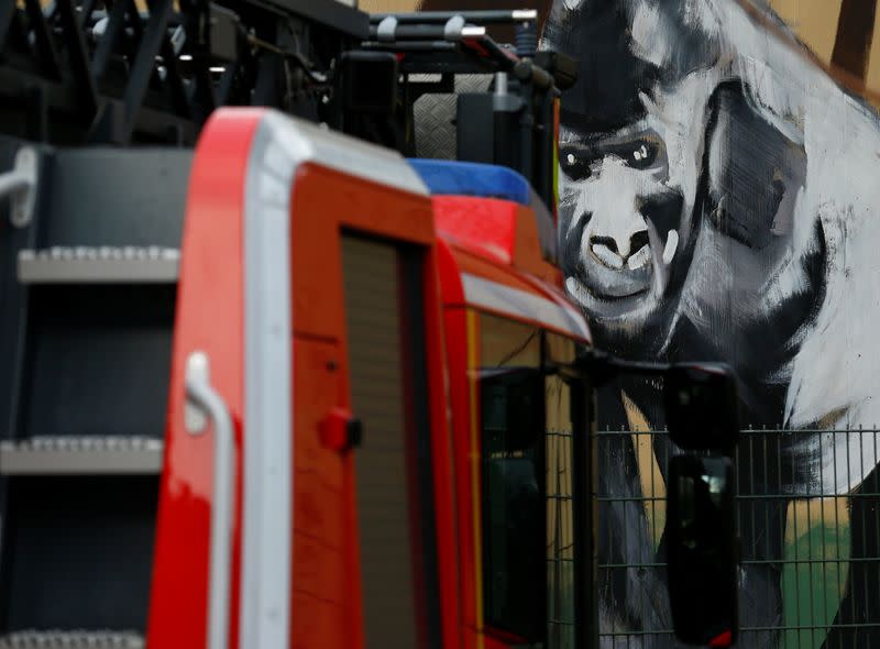A fire-fighting vehicle is pictured in front of a burned monkey house in the zoo of Krefeld