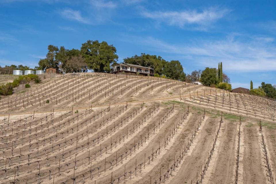 A 24-acre estate located in the Willow Creek district of the Paso Robles American Viticultural Area — and has roots stretching back to a celebrated Napa Valley winery — has recently been put on the market for just under $3 million.