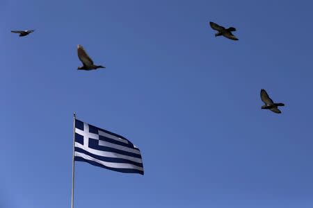 Pigeons fly over a fluttering Greek national flag in Athens March 30, 2015. REUTERS/Alkis Konstantinidis