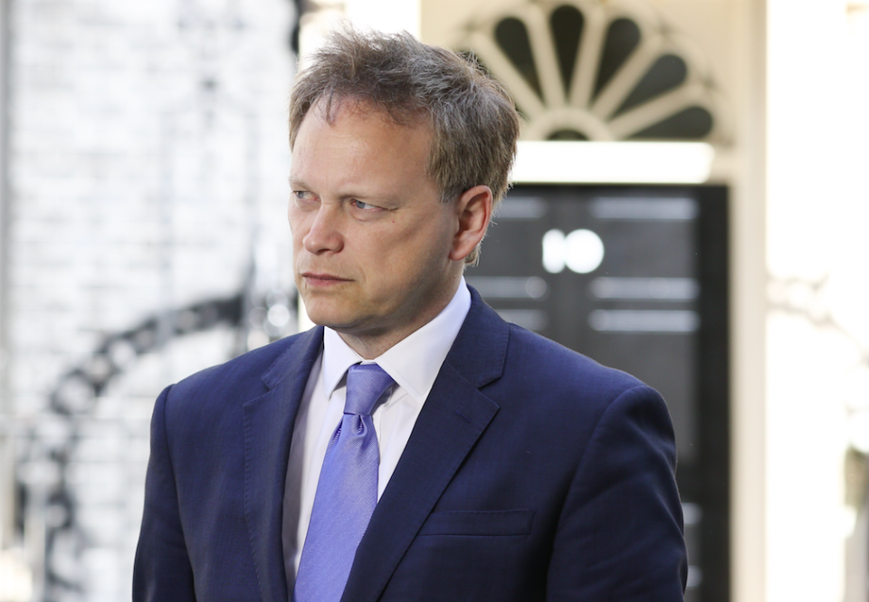 <em>Former Tory party chairman Grant Shapps thinks the Prime Minister will lead the party into the next election (Rex)</em>