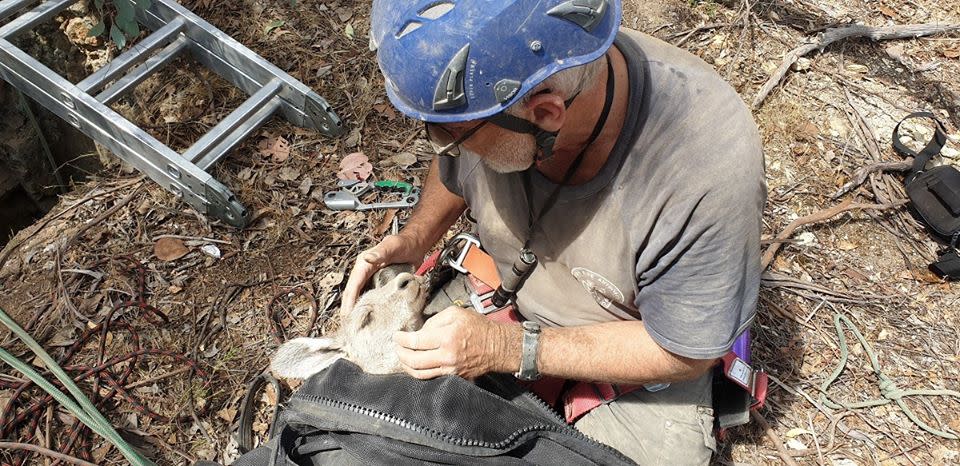 Manfred Zabinskas pictured with the kangaroo after the rescue.