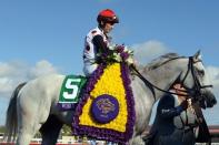 Nov 4, 2017; Del Mar, CA, USA; World Approval with jockey John Velazquez make their way into the winners circle after the ninth race during the 34th Breeders Cup world championships at Del Mar Thoroughbred Club. Mandatory Credit: Jake Roth-USA TODAY Sports