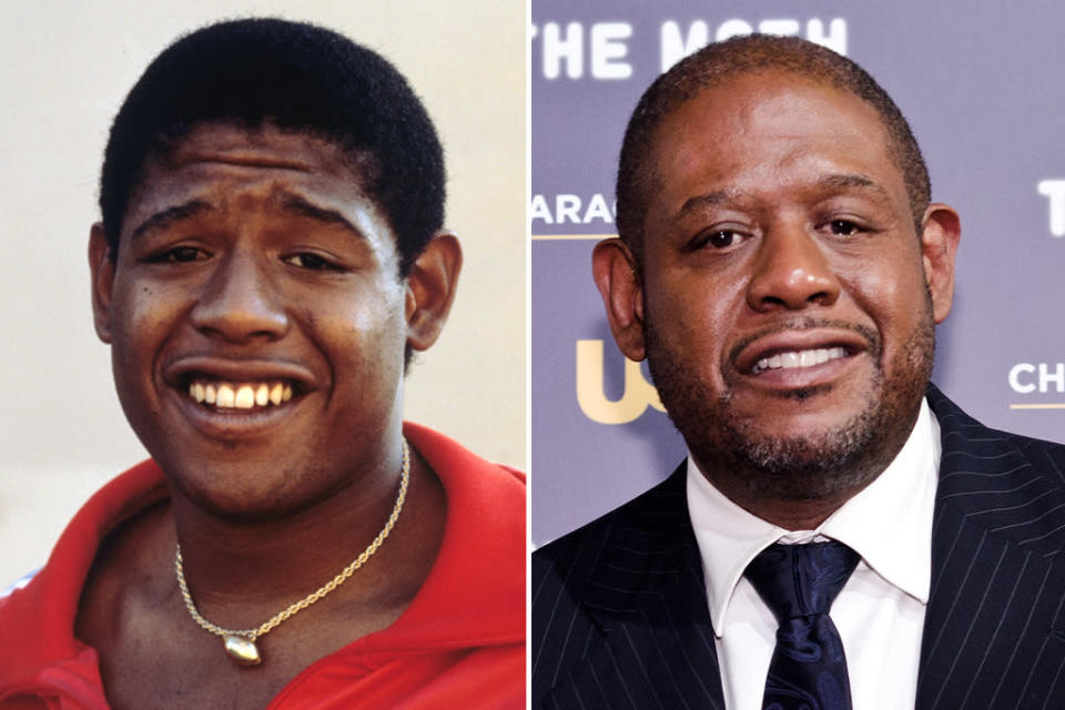 Forest Whitaker<br> Remember the football player who really loved his car (really)? That was future Oscar-winning actor <a href="http://movies.yahoo.com/person/forest-whitaker/" data-ylk="slk:Forest Whitaker;elm:context_link;itc:0;sec:content-canvas" class="link ">Forest Whitaker</a>. His role in "Fast Times" marked the beginning of a strong career that included parts in "Platoon," TV's "The Shield," and an Academy Award-winning performance as Idi Amin in "<a href="http://movies.yahoo.com/movie/the-last-king-of-scotland/" data-ylk="slk:The Last King of Scotland;elm:context_link;itc:0;sec:content-canvas" class="link ">The Last King of Scotland</a>." Whitaker has also directed several films, including "<a href="http://movies.yahoo.com/movie/waiting-to-exhale/" data-ylk="slk:Waiting to Exhale;elm:context_link;itc:0;sec:content-canvas" class="link ">Waiting to Exhale</a>" with the late Whitney Houston and "<a href="http://movies.yahoo.com/movie/hope-floats/" data-ylk="slk:Hope Floats;elm:context_link;itc:0;sec:content-canvas" class="link ">Hope Floats</a>" with <a href="http://movies.yahoo.com/person/sandra-bullock/" data-ylk="slk:Sandra Bullock;elm:context_link;itc:0;sec:content-canvas" class="link ">Sandra Bullock</a>.