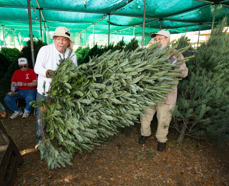 Doug Bowne, left and Minter Goodson, right, members of the Mens Club at the United Methodist Temple, carry out a tree for a customer at their christmas tree stand in Lakeland Fl. in 2019. Trees are far less plentiful now than they were two years ago and the shortage is going to continue for 4-5 years, growers say.