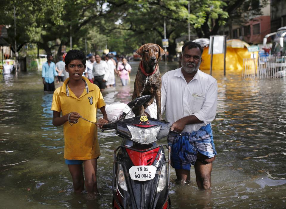 Flooding in India