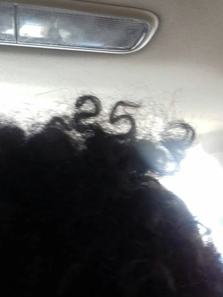 Silhouette of a person's curly hair against a car ceiling, with sunlight filtering through the hair