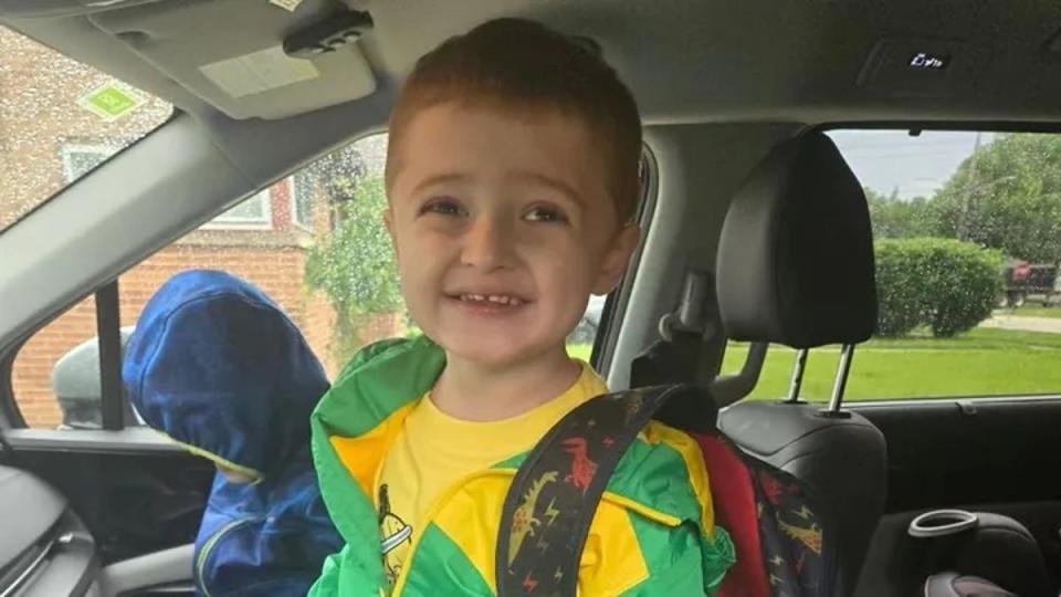 Three-year-old Julian Wood, pictured, was fatally stabbed in a grocery store parking lot. Julian’s family describes him as a ‘sweet little boy’ with a ‘cheesy smile’ and ‘rambunctious attitude’ (GoFundMe)
