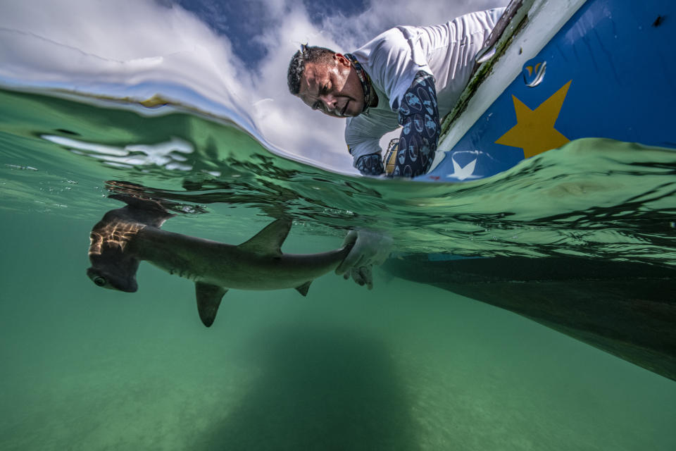 Primer premio absoluto y ganadora de la categoría ‘Underwater Conservation’