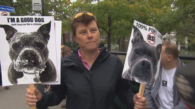 Final debate on Montreal's proposed pit bull bylaw delayed until Tuesday