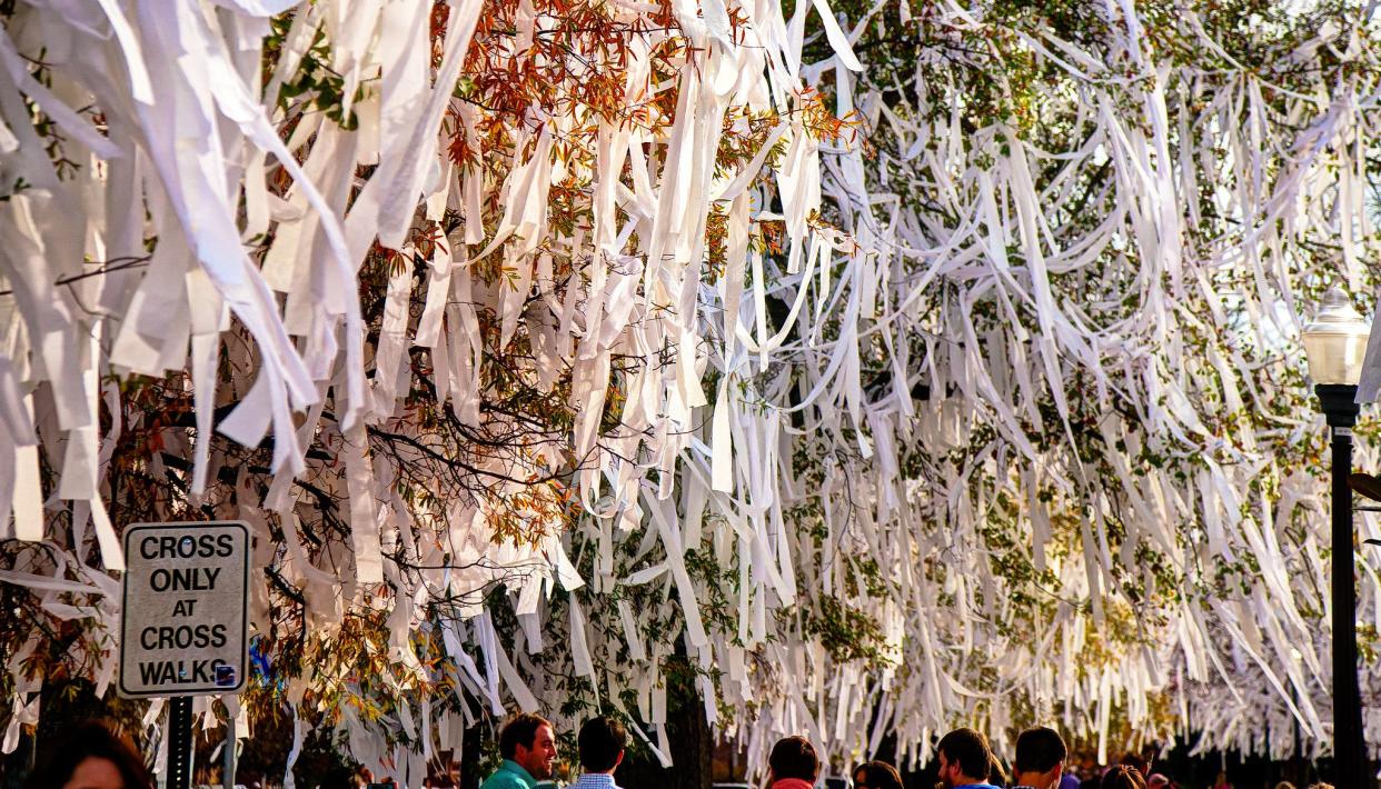 Toilet papered Toomer's Corner in Auburn, AL on December 1, 2013 following the Auburn 34 Alabama 28 Iron Bowl.