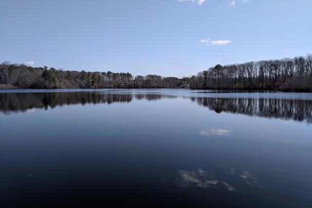 Confused' angler calls dad after catching odd fish. It tied a state record  in Georgia