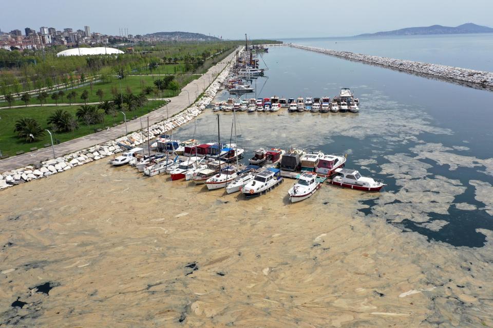 ISTANBUL, TURKEY - MAY 02: A drone photo shows an aerial view of white layer formed on the sea, caused by the sea snots near Maltepe, Kadikoy and Adalar districts of Istanbul, Turkey on May 02, 2021. (Photo by Lokman Akkaya/Anadolu Agency via Getty Images)