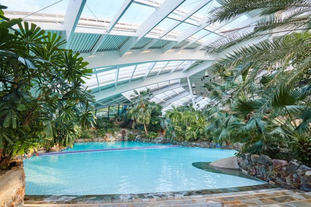 Das subtropische Schwimmparadies im Innenpool von Center Parcs Longleat Forest