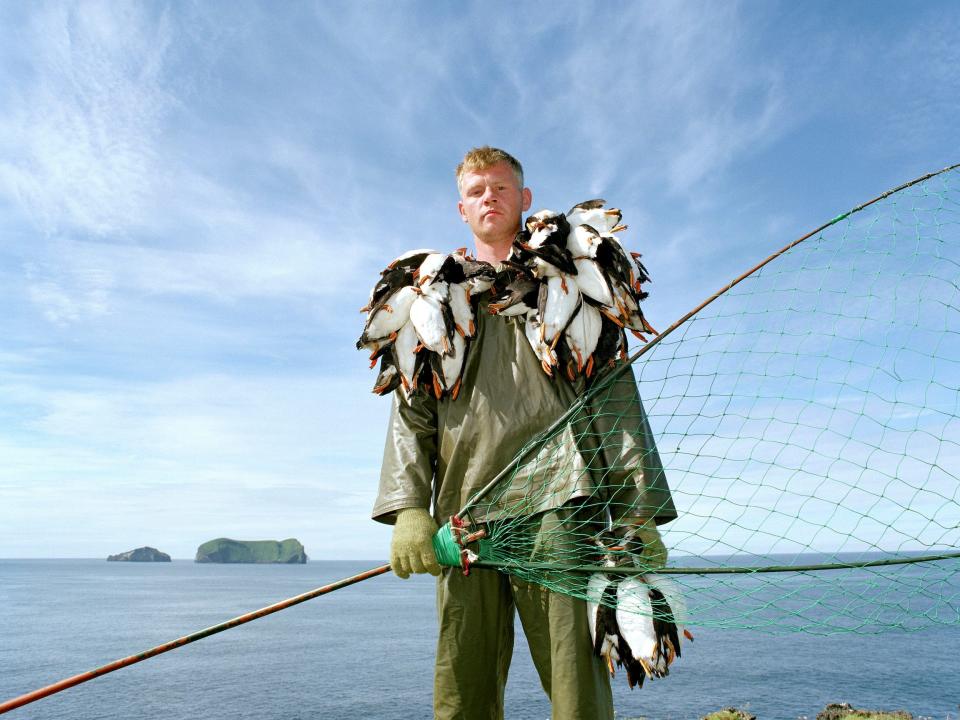 A portrait of puffin hunter Jakob Erlingsson holding the puffins he caught using a net.