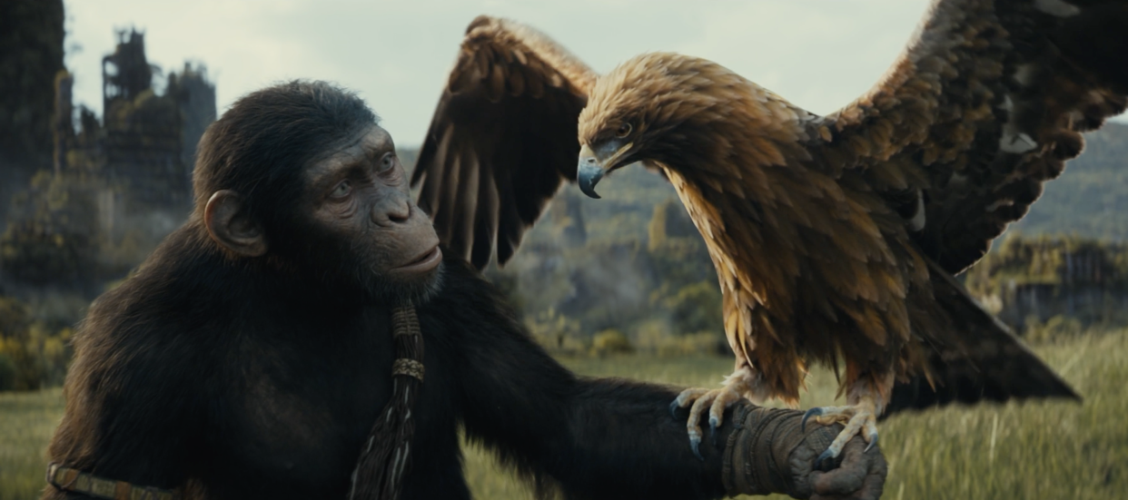 A scene from Kingdom of the Planet of the Apes