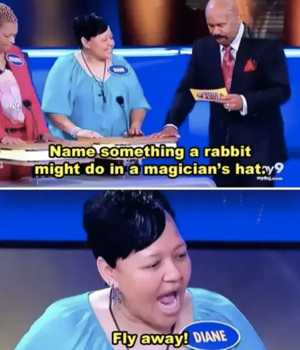 what might a rabbit do in a magicians hat and contestant says fly away