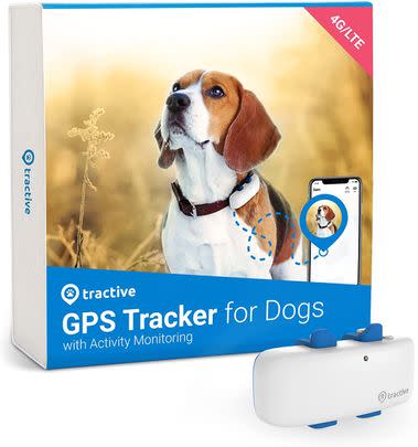 A handy GPS tracker for those pups who like to wander off