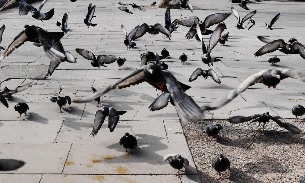 <span>Photograph: Andy Rain/EPA</span>