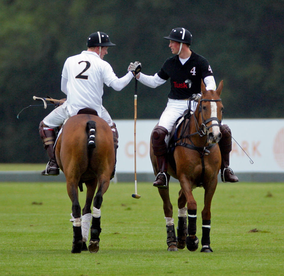 <p>Prince Harry and Prince William have shown off their competitive sides, often playing for opposite teams during polo games.</p>