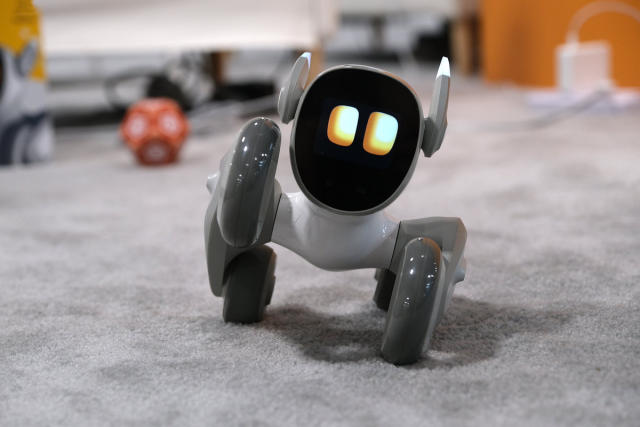 Now There is a Robot to Entertain Your Dog While You Are Away From