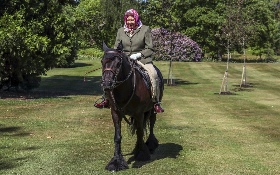 The Queen enjoys time with Balmoral Fern at Windsor Home Park - Steve Parsons