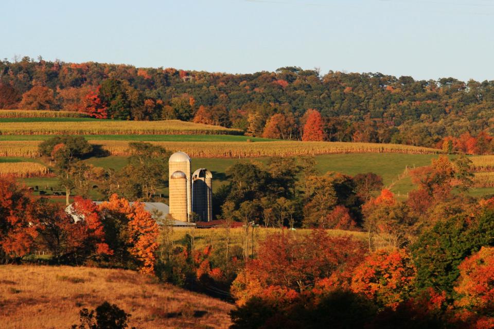 Maryland: Rt. 219 Scenic Overlook