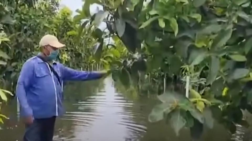 去年盧碧颱風導致部分地區積水嚴重。（圖／東森新聞）