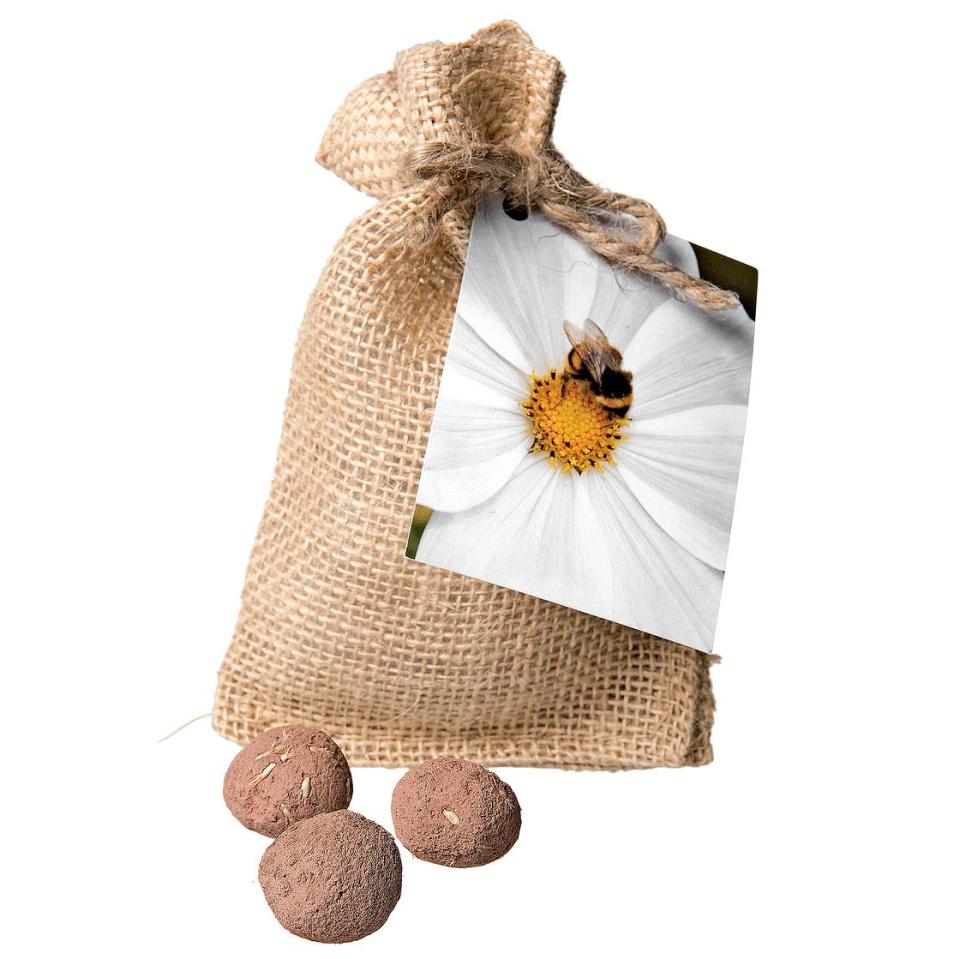 Bee and Pollinator Seed Balls gift