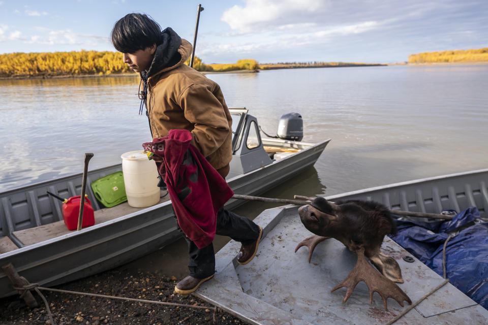 Steven Guinness Jr., 14, carries his hunting rifle into the village after returning from the Stevens' family hunting camp on Wednesday, Sept. 15, 2021, in Stevens Village, Alaska. For the first time in memory, both king and chum salmon have dwindled to almost nothing and the state has banned salmon fishing on the Yukon. The remote communities that dot the river and live off its bounty are desperate and doubling down on moose and caribou hunts in the waning days of fall. (AP Photo/Nathan Howard)