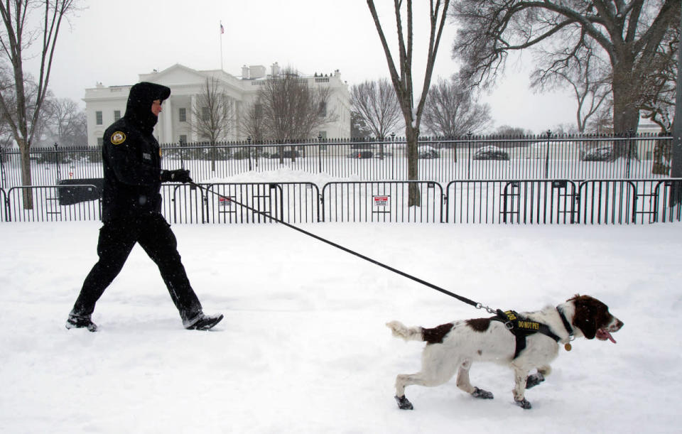 <p>A uniformed U.S. Secret Service police officer walks his K-9 dog in front of the White House in Washington, Saturday, Jan. 23, 2016. A blizzard with gale-force winds paralyzed the southern and eastern United States on Saturday, dumping snow as millions hunkered down at home, hoping their food supplies would last and the power won’t go out. Seven states declared a state of emergency, nine people were reported killed in accidents and parts of Washington were coated with nearly two feet (60 centimeters) of drifting snow. (AP Photo/Manuel Balce Ceneta)</p>