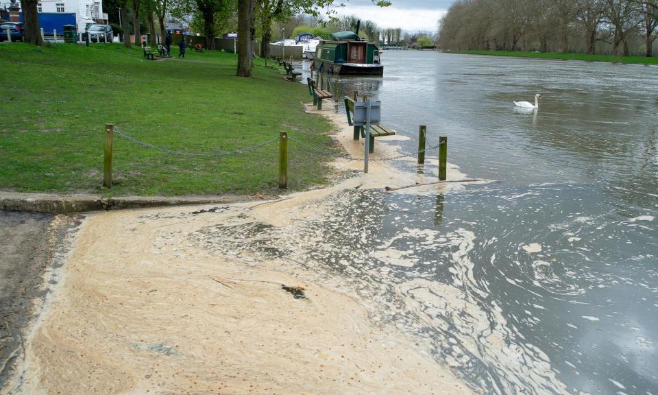 <span>Sewage floats on the River Thames in Berkshire after storm water discharges by Thames Water this month. </span><span>Photograph: Maureen McLean/Rex/Shutterstock</span>