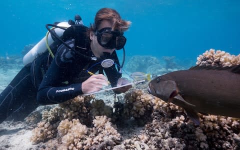 The Blue Planet crew researching the odd interaction - Credit: BBC