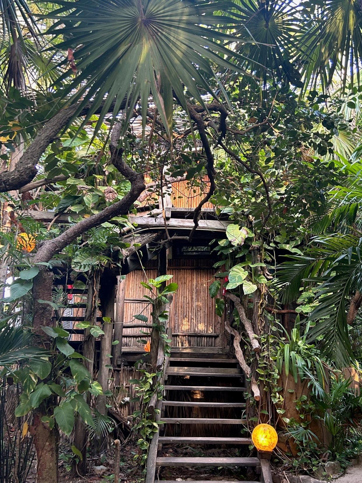 Azulik treehouse