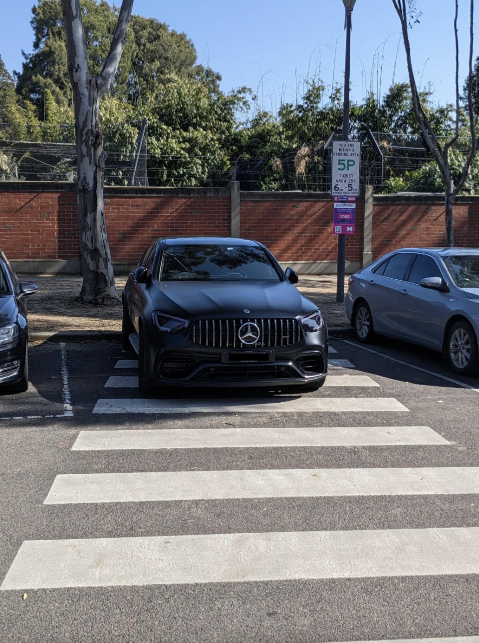 The Mercedes driver parked on the Zebra crossing at the Melbourne Zoo.