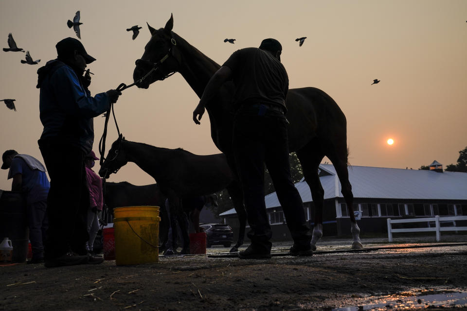The sun is obscured by haze caused by northern wildfires as horses are bathed ahead of the Belmont Stakes horse race, Thursday, June 8, 2023, at Belmont Park in Elmont, N.Y. Training was cancelled for the day due to poor air quality. (AP Photo/John Minchillo)