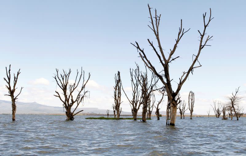 Swollen lake in Kenya's Rift Valley drives villagers from their homes in Naivasha